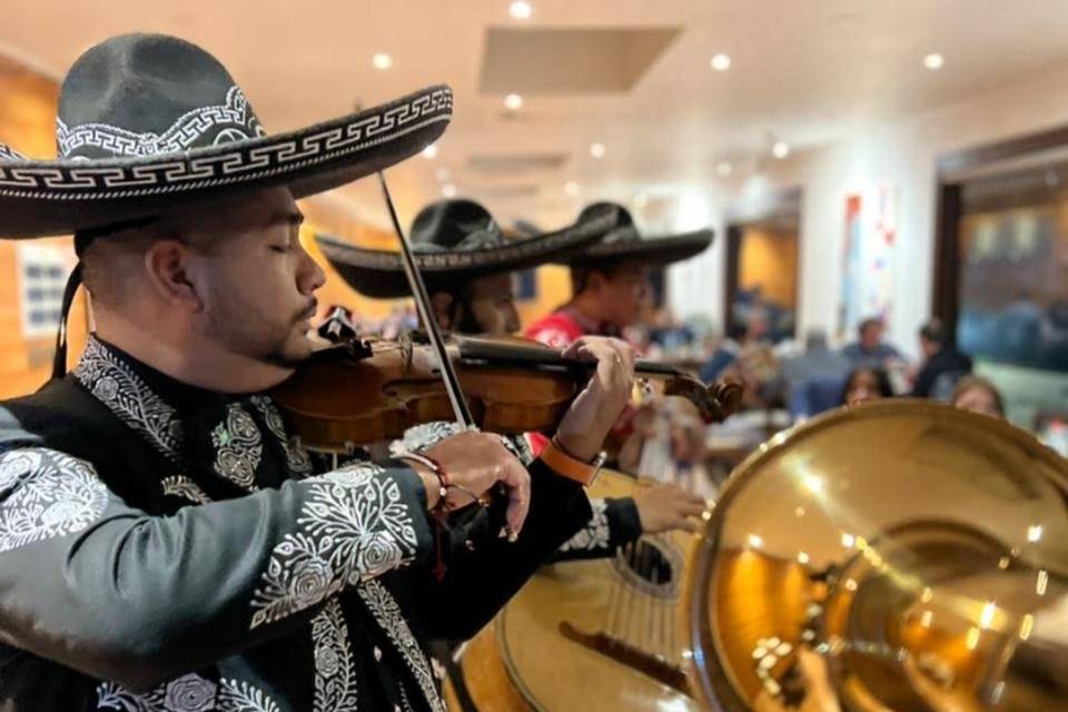 Mariachi León Imperial