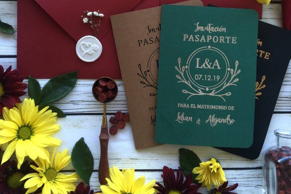 Diseño Pasaporte