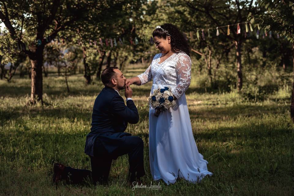 Boda Casona del Cardenal