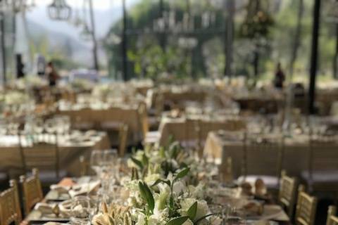 Matrimonio Valle del Elqui