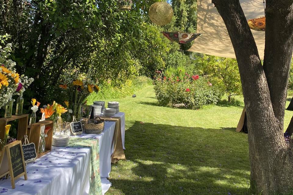 Matrimonio