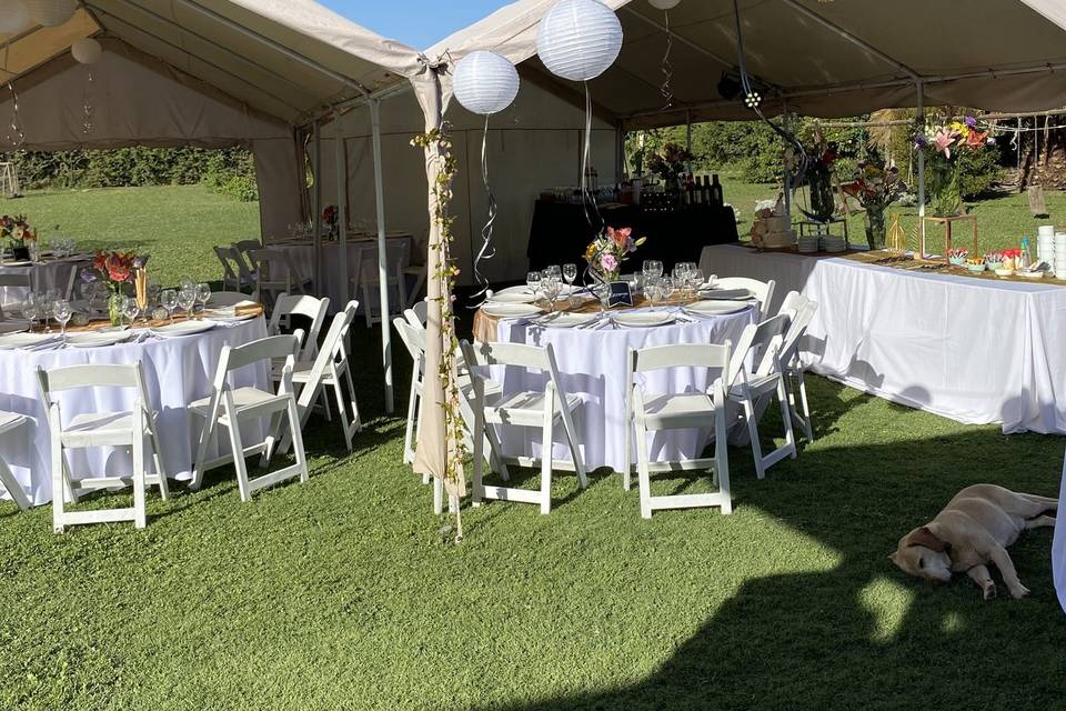 Matrimonio