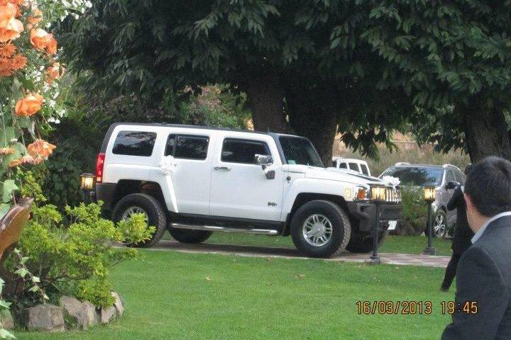 Hummer decorados