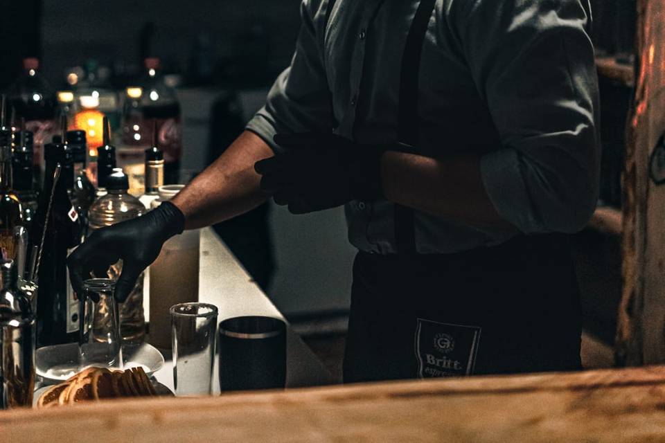 Bartender Profesional
