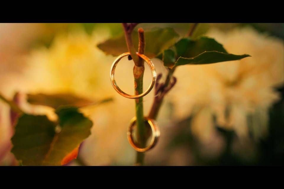 Filmaciones de bodas