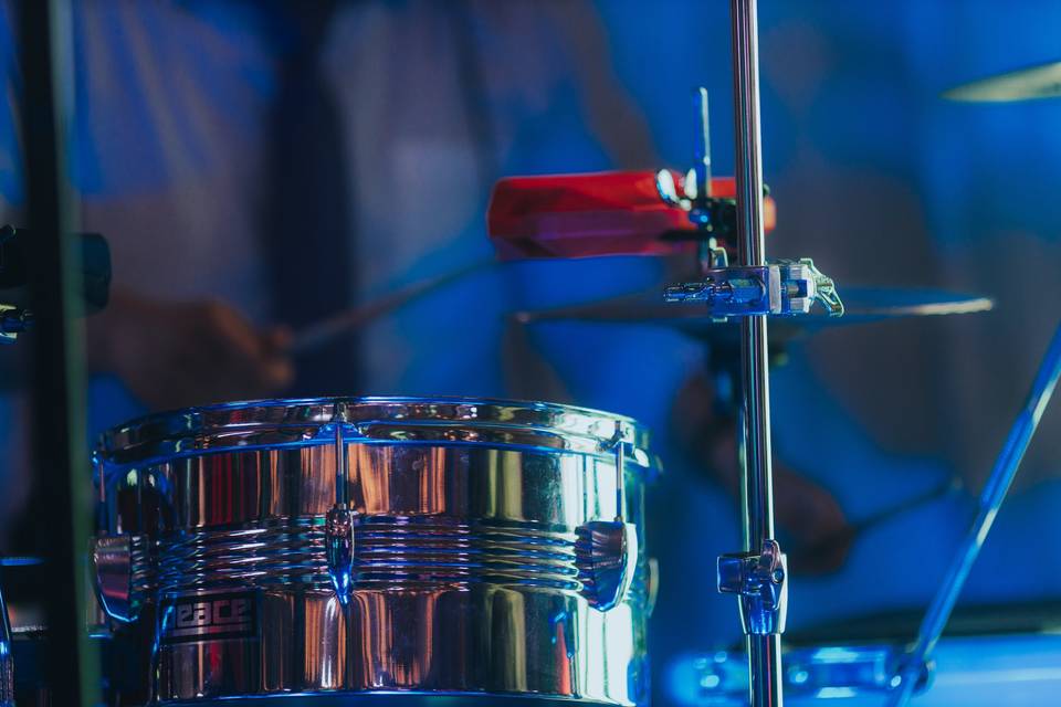 Timbal