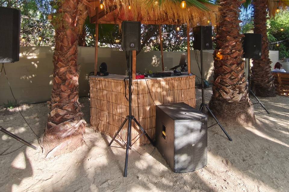 Palmeras
