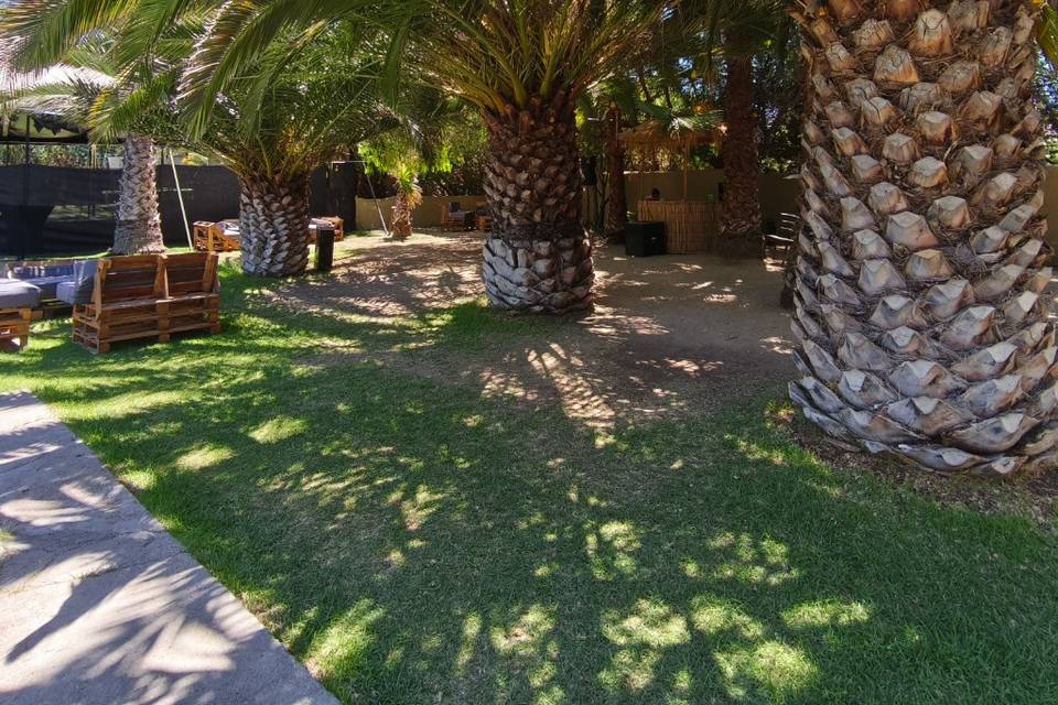 Palmeras Lounge