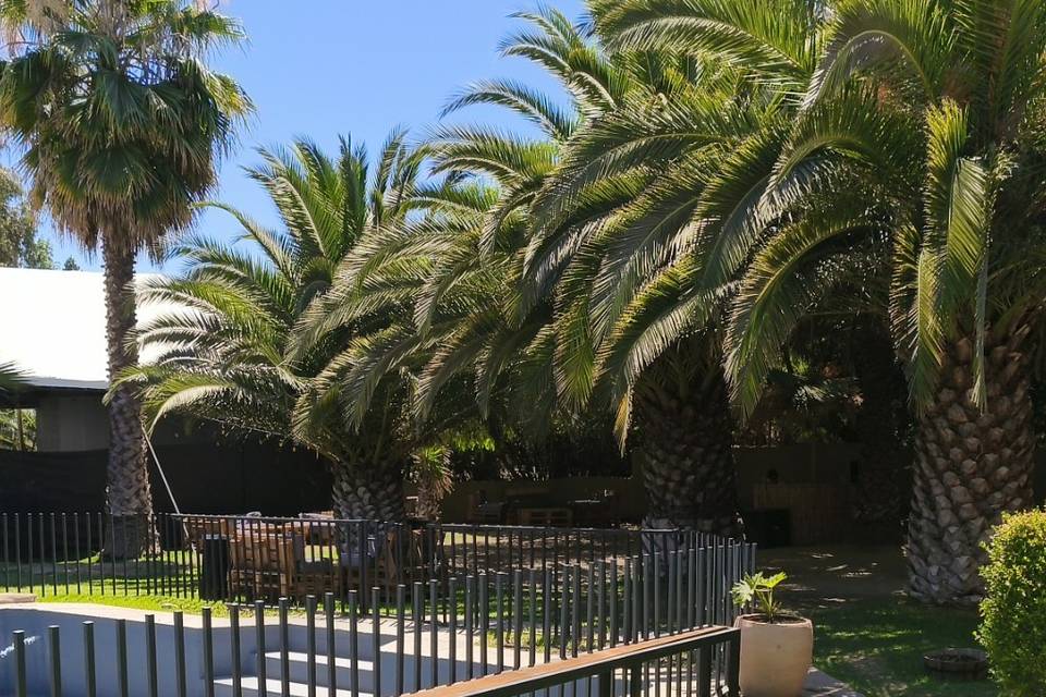 Terraza