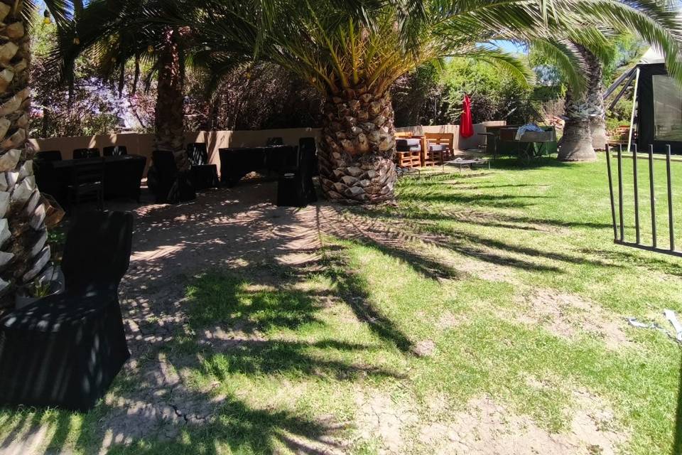 Palmeras