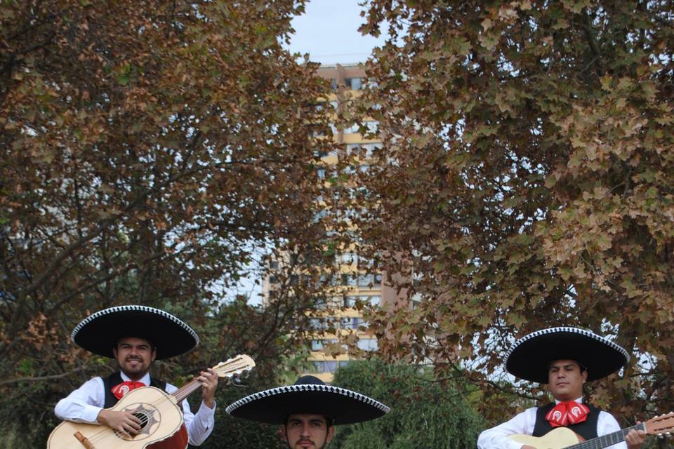 Mariachi Rancho Grande