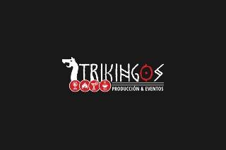 Logo Barras Trikingos y Producciones