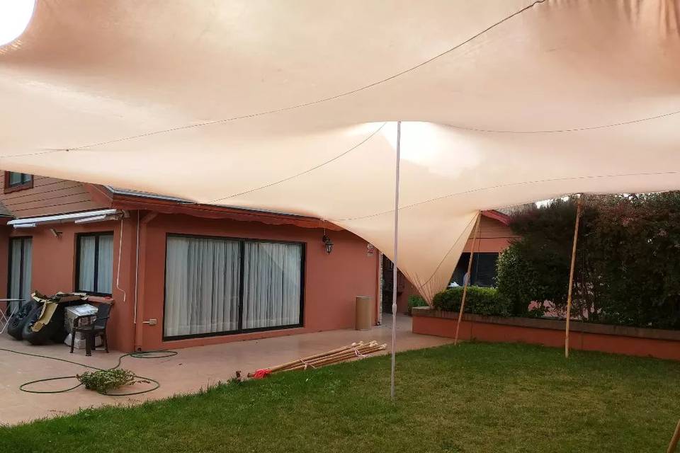 50m2.