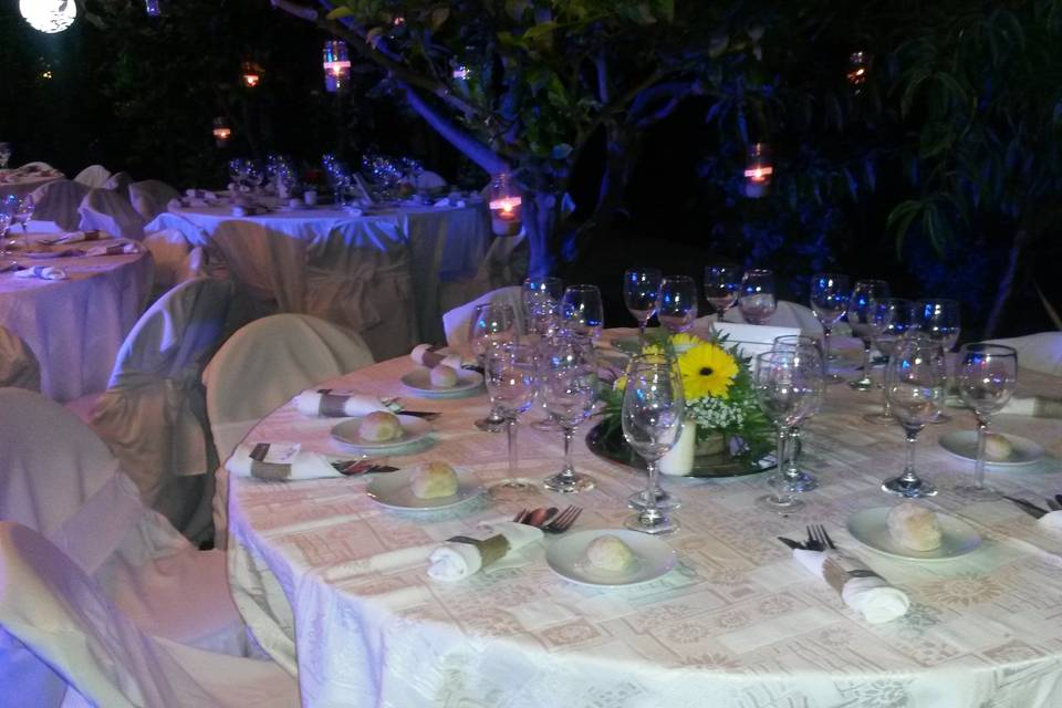 D&M Eventos