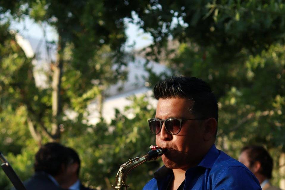 Saxo en vivo