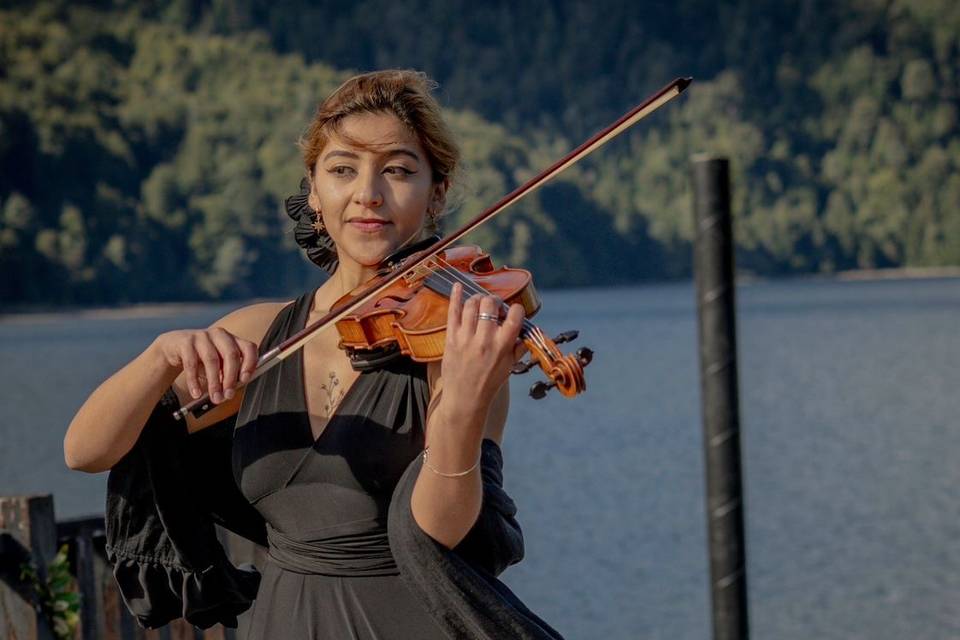 Violín Solista