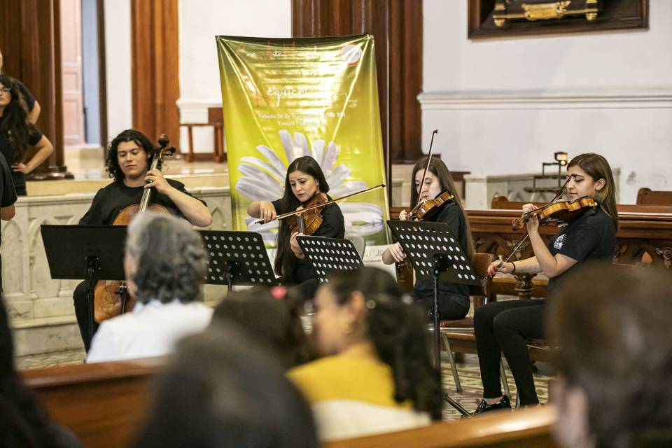 Cuarteto de cuerdas