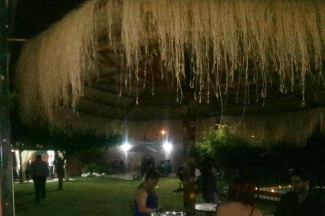 Parcela noche