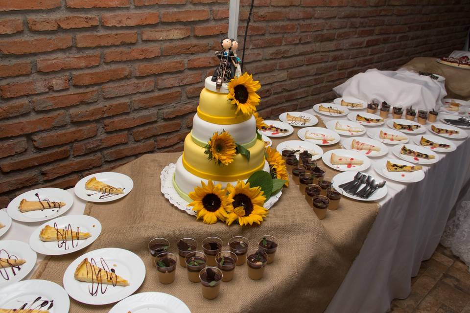 Torta de girasoles