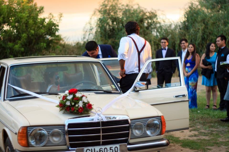 Autos para Matrimonios Talca