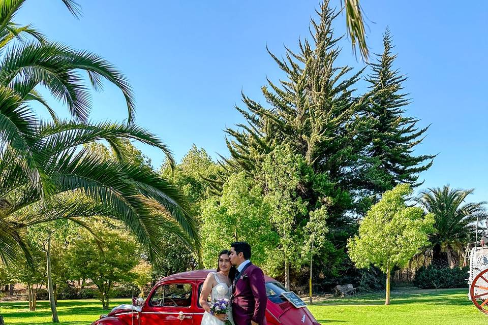 Auto rojo en jardín