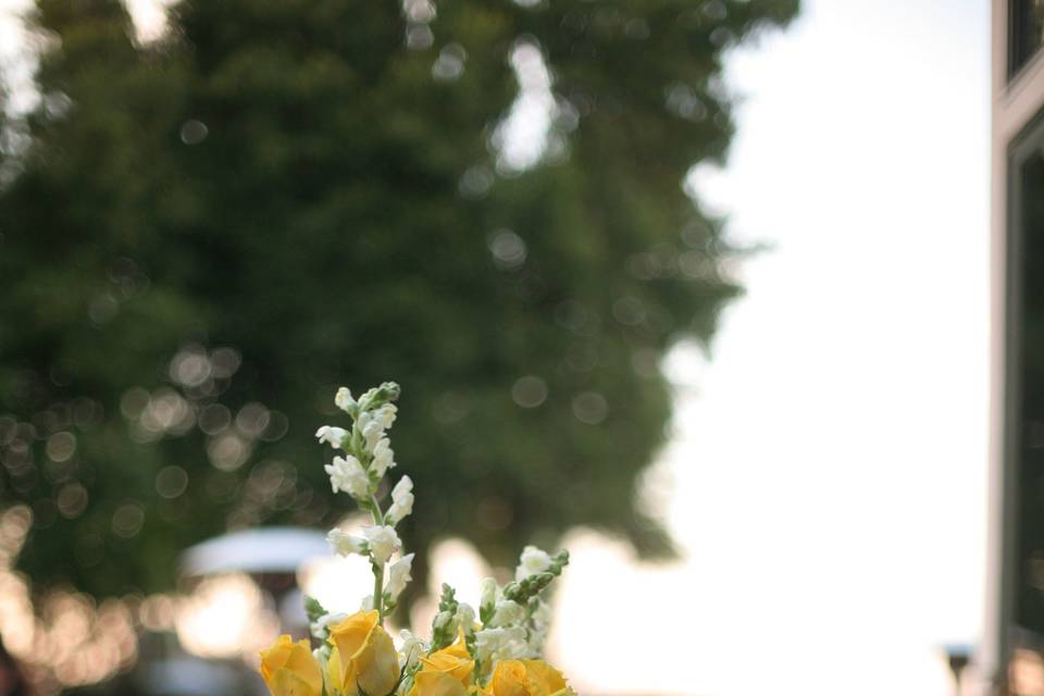 Yellow roses gromek house