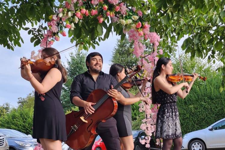 Grupo musical