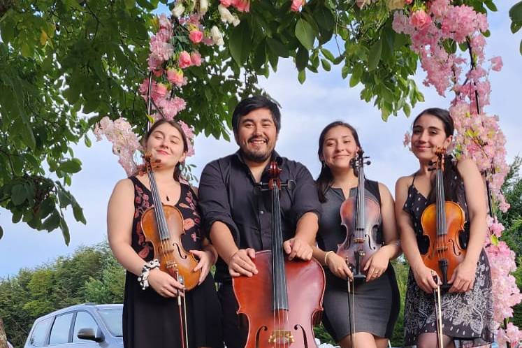 Cuarteto musical