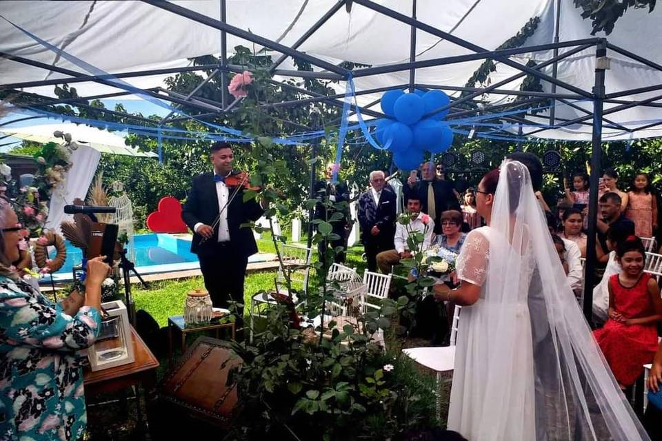 Violinista en una boda