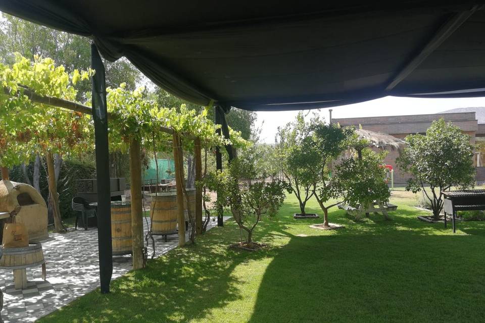 Matrimonios Carpas