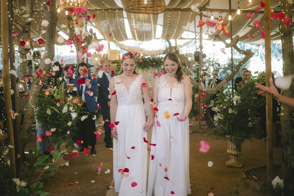 Matrimonio