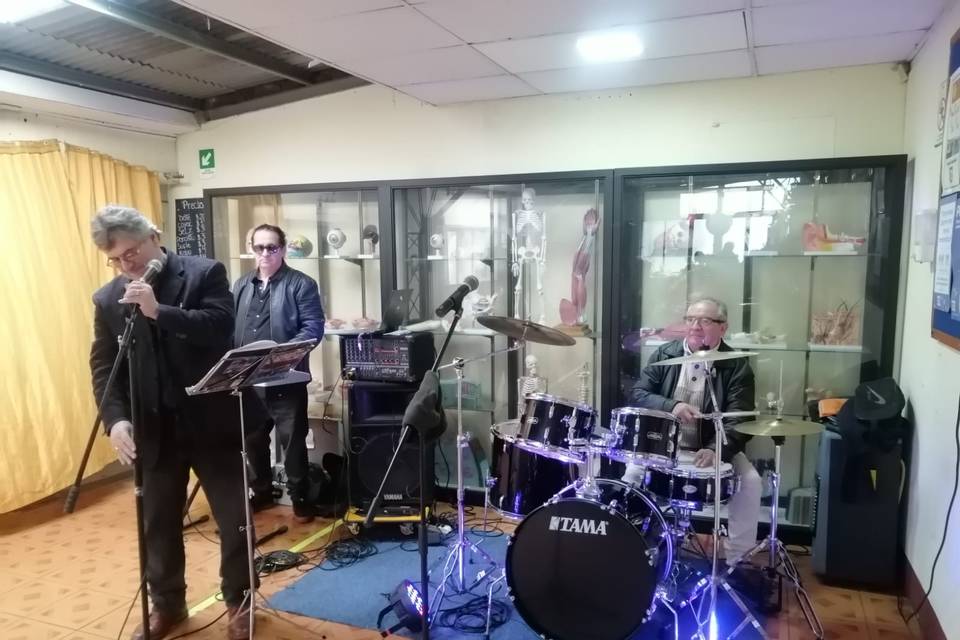 Bandas en vivo