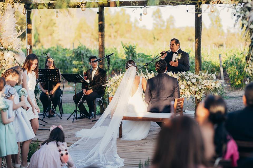 Novios casándose al aire libre