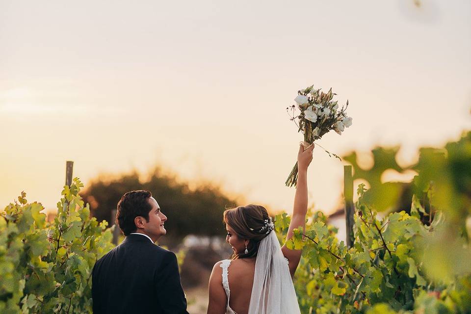 Novios caminando en el viñedo