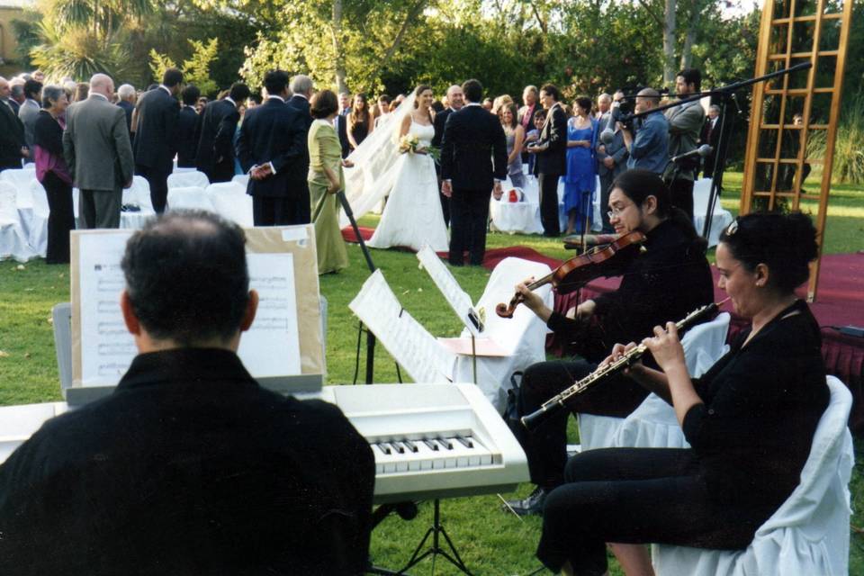 Ceremonia al aire libre  Fundo