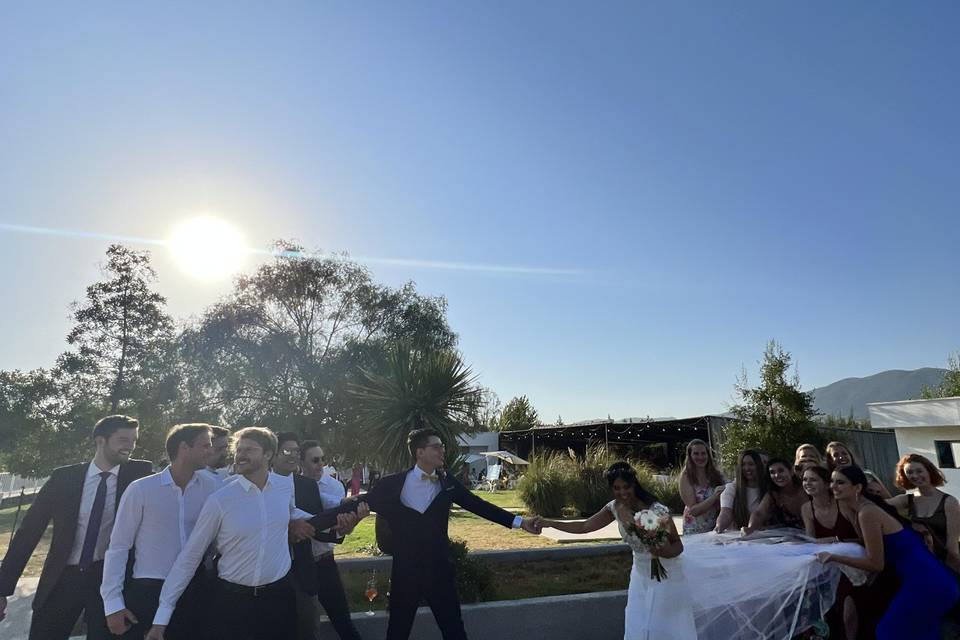 Novios