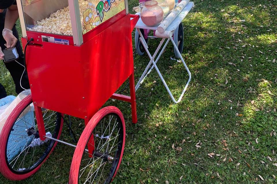 Cabritas en un carrito