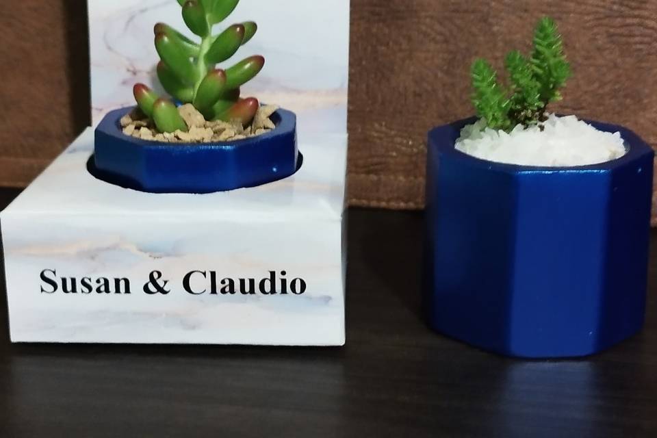 Maceta + caja personalizada