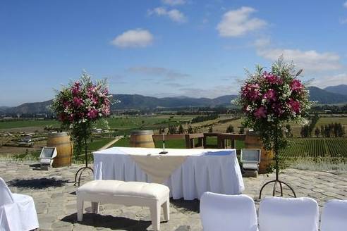 Ceremonia en el viñedo