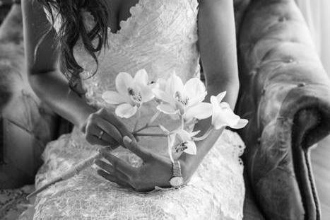 Novia