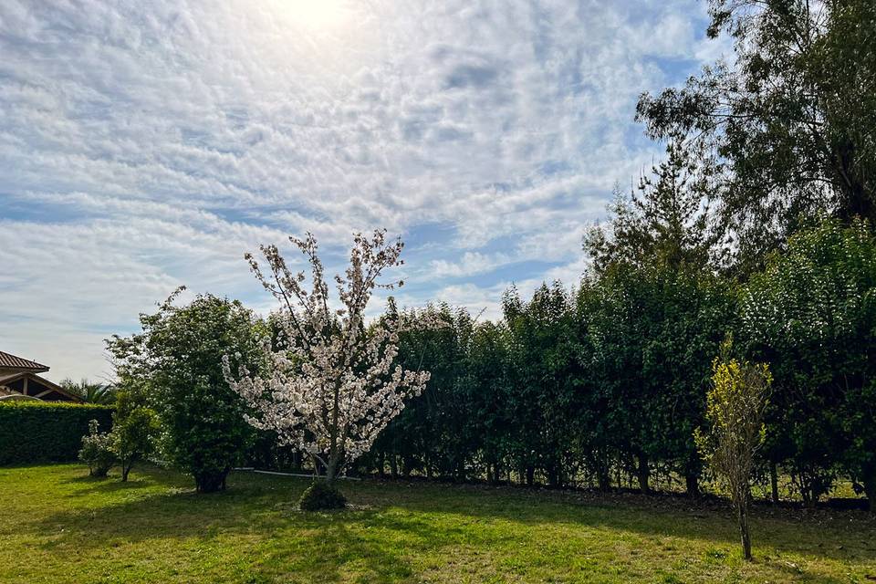 Jardín para eventos