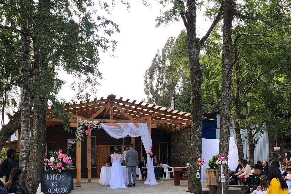 Bodas