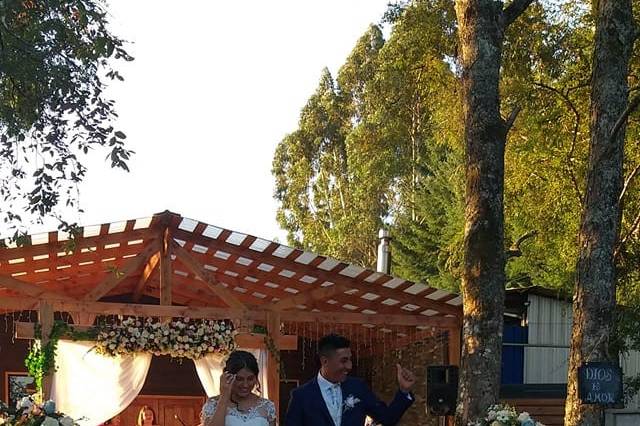 Bodas