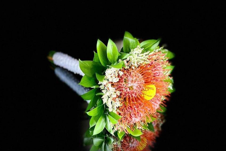 Ramo protea