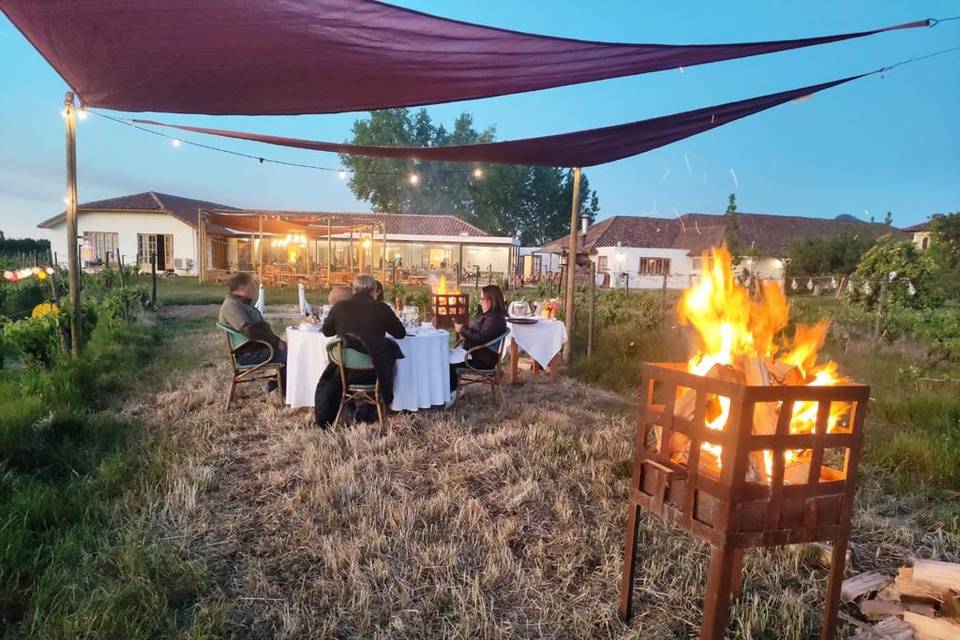 Cena entre viñedos