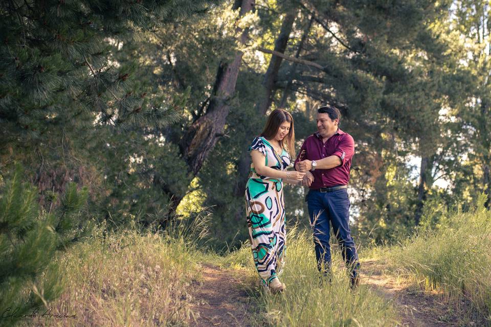 Fotografías de parejas en su boda