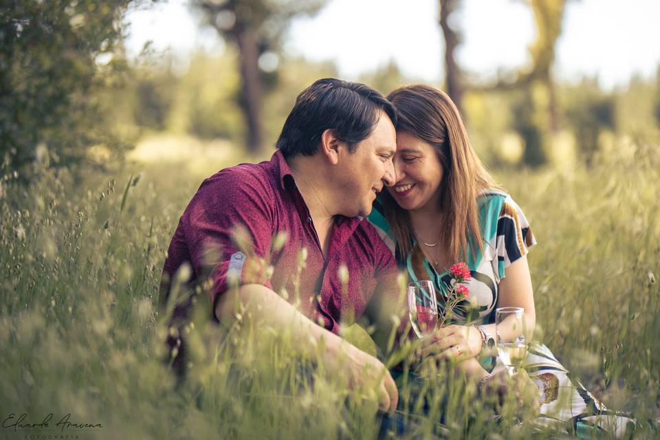 Fotografías de parejas en su b