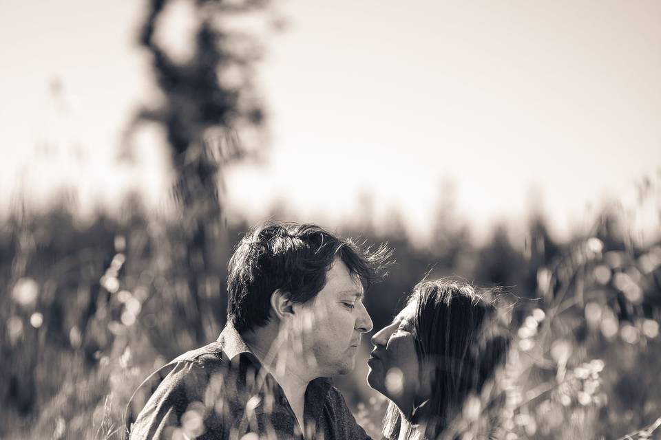 Fotografías de parejas en su boda