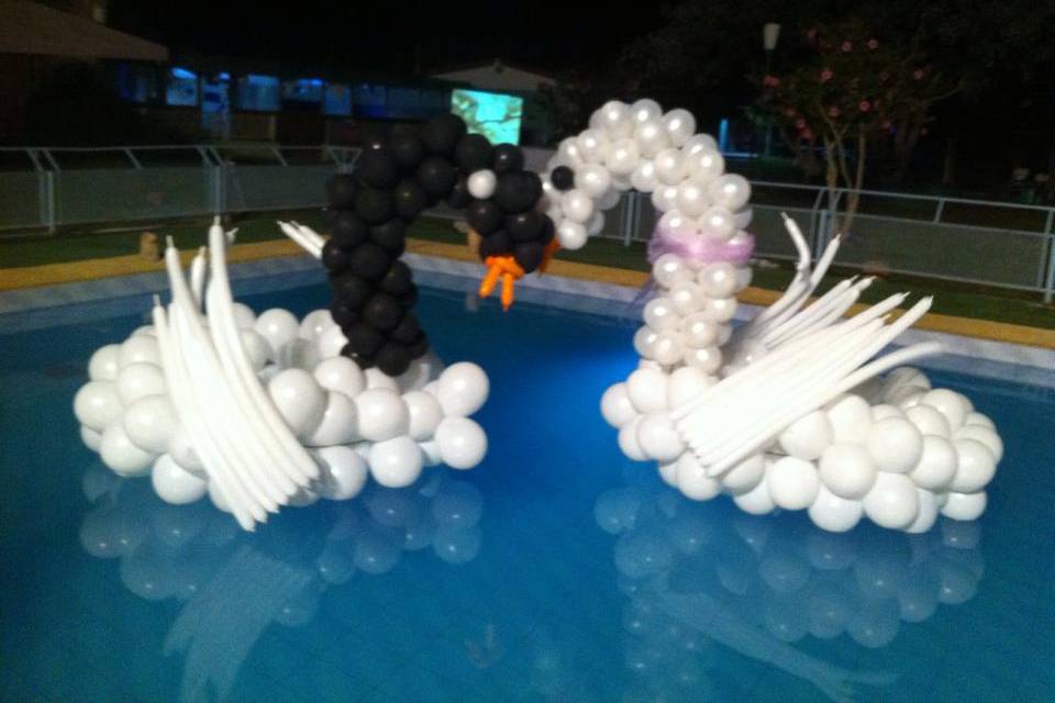 Cisnes en piscina