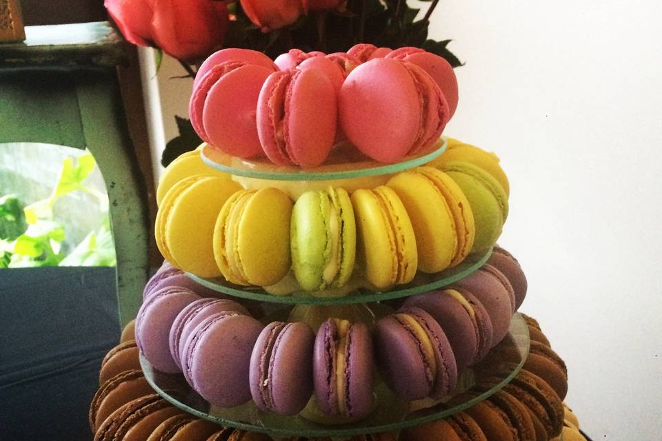 Macarons multicolor